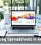 Rethinking Spreadsheets in Business